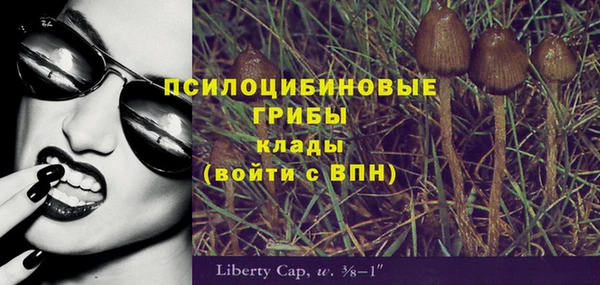 дмт Братск