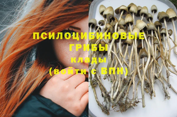МДПВ Ханты-Мансийск