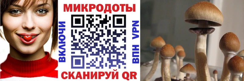 где купить наркоту Новомосковск Галлюциногенные грибы MAGIC MUSHROOMS