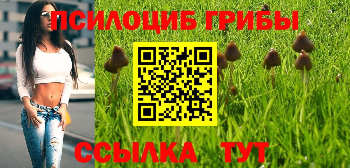 Галлюциногенные грибы Psilocybine cubensis  Вход с VPN  Новомосковск 