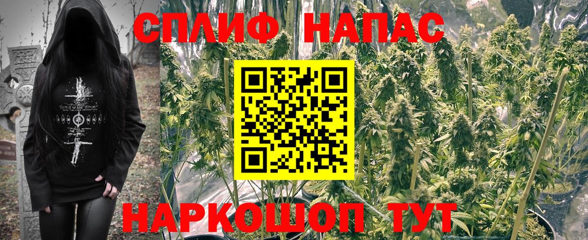 Бошки марихуана Bruce Banner  Бошки Шишки THC 21%  Вход с VPN  Новомосковск  Шишки марихуана White Widow 